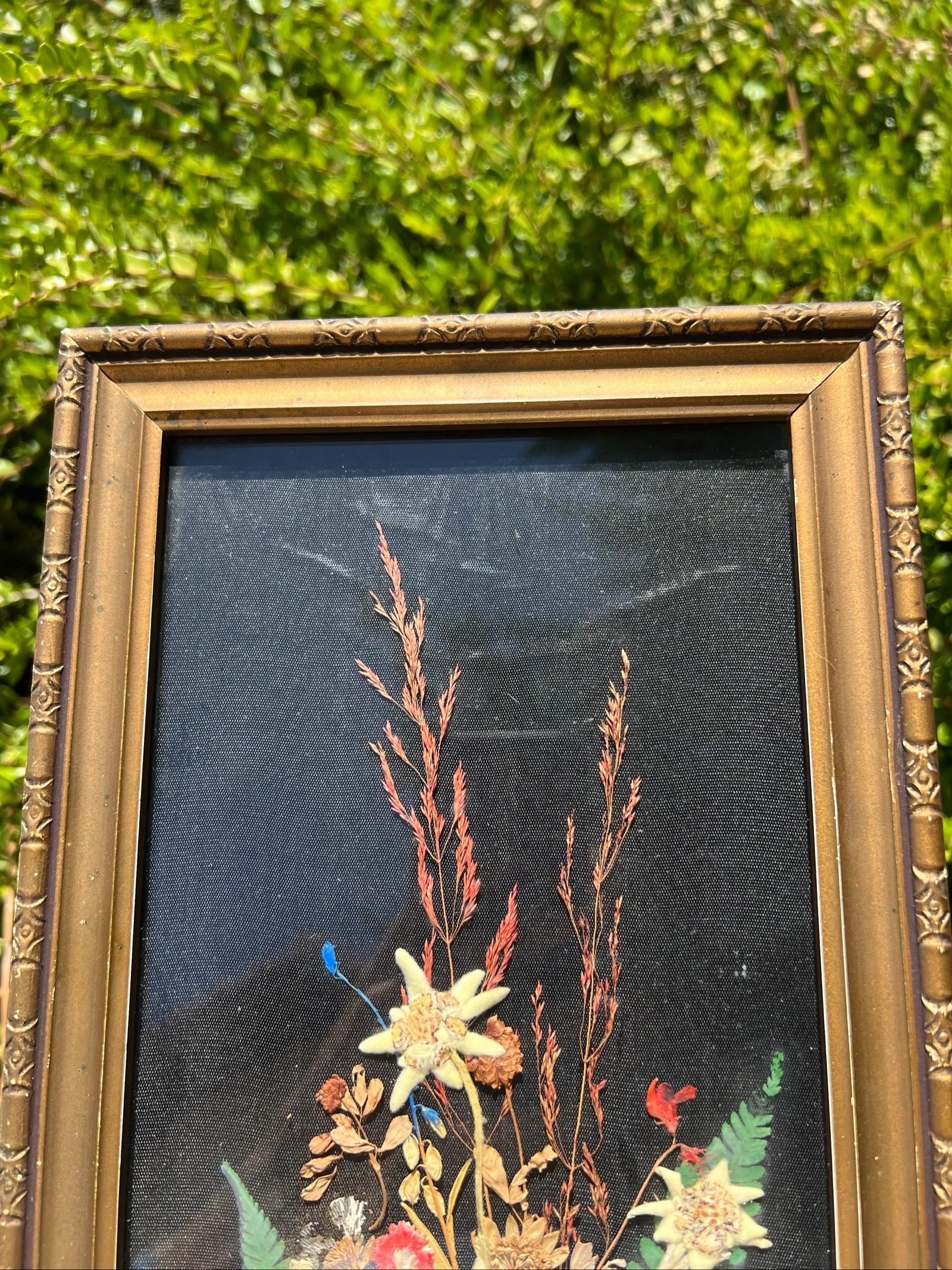 💮 Vintage frame gedroogde bloemen Edelweiss gesigneerd – Wanddecoratie 32 x 19 cm – photo 2